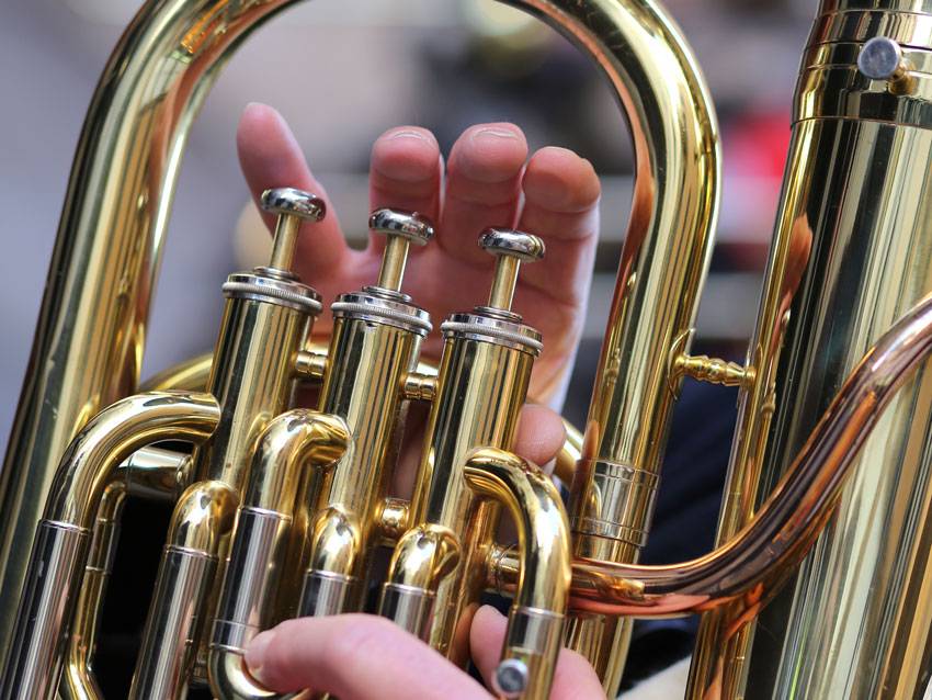 Trompete. Foto: ChiccoDodiFC / Shutterstock