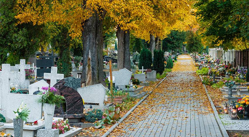 Friedhof. Foto: YarekM / Shutterstock