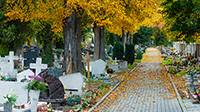 Friedhof. Foto: YarekM/ Shutterstock